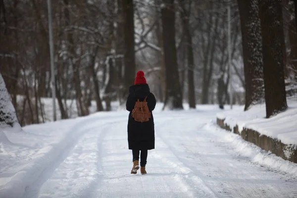 Жінка в зимовому вбранні, що йде сніжною парковою дорогою — стокове фото