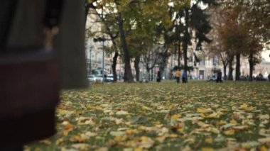 Genç ve güzel bir kadın sonbahar kıyafetiyle parkın yanından geçiyor. 