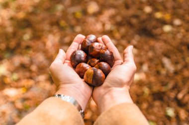 kadın elinde kestane tepegöz