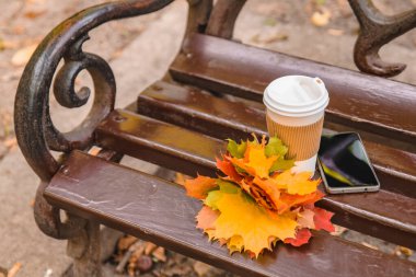 şehir parkı bankında kahve fincanı ve telefon ile sarı akçaağaç yaprakları buket