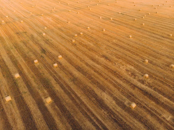 Luftaufnahme Sonnenuntergang Feld Ernte Herbst Zeit — Stockfoto