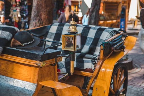 Entrenador de caballos, de cerca en la calle turística de la ciudad — Foto de Stock