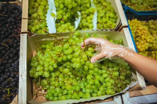 First person point of view man choosing grapes — Stock Photo, Image