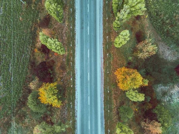 Vista aerea dell'autostrada autunnale nella foresta — Foto Stock