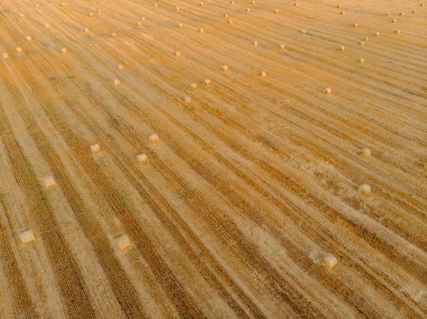 Luftaufnahme Sonnenuntergang Feld Ernte Herbst Zeit — Stockfoto