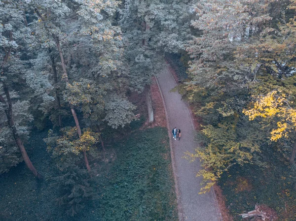 Vue aérienne du parc de la ville d'automne — Photo