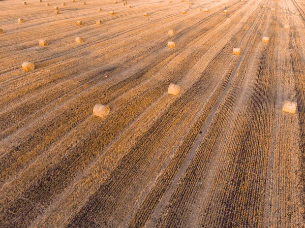 Luftaufnahme Sonnenuntergang Feld Ernte Herbst Zeit — Stockfoto