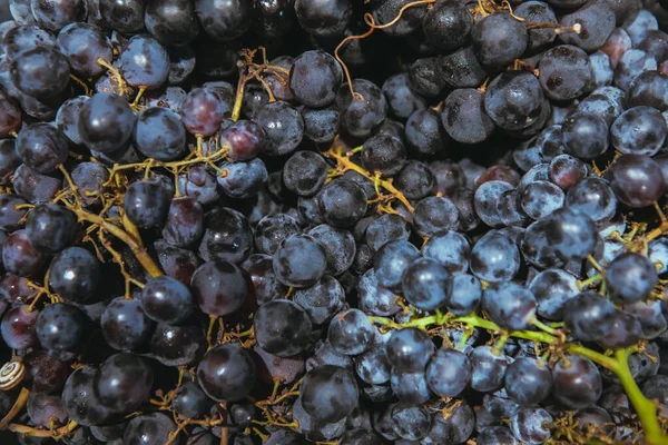 Dark grapes texture overhead view — Stock Photo, Image