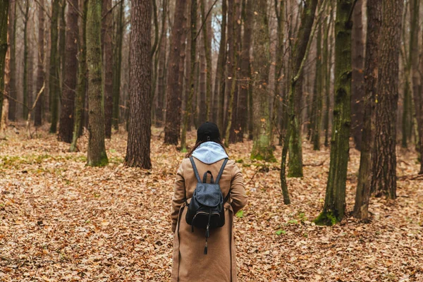 Donna in abito autunnale a piedi dalla foresta — Foto Stock