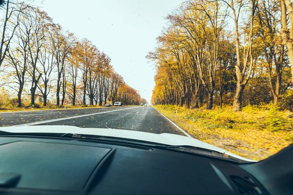 Őszi autóutazási koncepció fák, sárga levelei — Stock Fotó