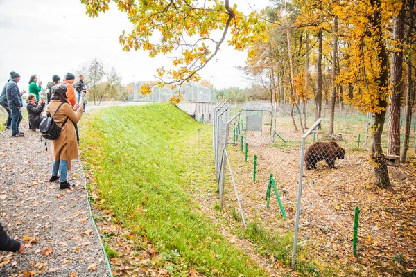 Lwów, Ukraina-21 października 2018: ludzie chodzą przez centrum rehabilitacji niedźwiedzia — Zdjęcie stockowe