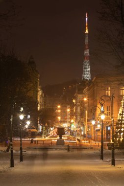 Lviv, Ukrayna - 8 Ocak 2019: Karlı şehir parkı manzarası