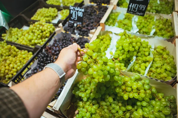 First person point of view man choosing grapes — Stock Photo, Image