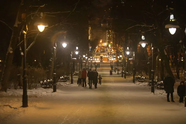 Lviv, Ucrania - 8 de enero de 2019: vista del parque de la ciudad de invierno nevado — Foto de Stock