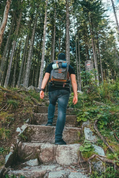 Человек с рюкзаком, идущий по каменной лестнице, ведущей в лес — стоковое фото