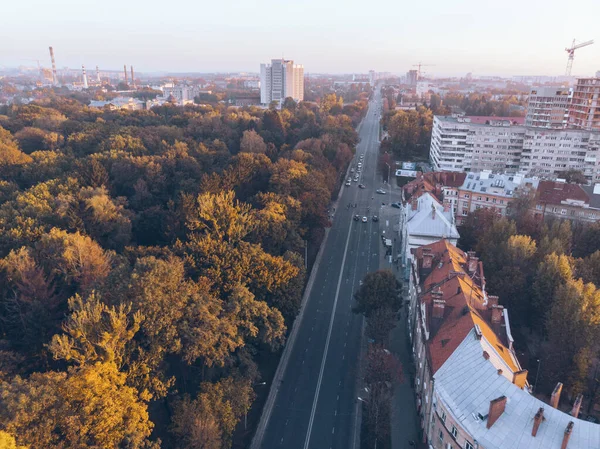 aerial view of autumn city park on sunset
