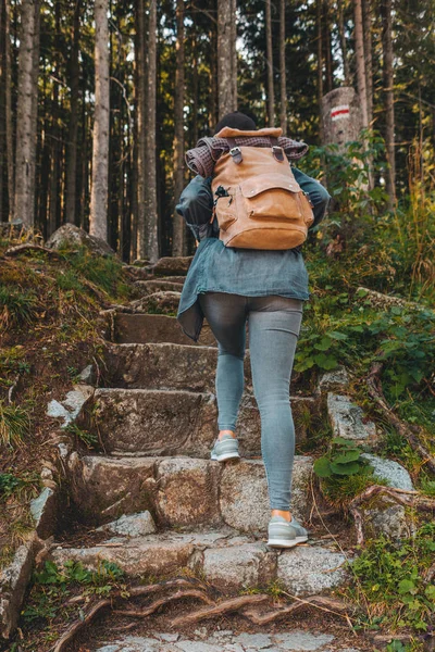 Donna con zaino a piedi da scale in pietra conduce alla foresta — Foto Stock