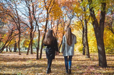 two girlfriends walking by autumn city park