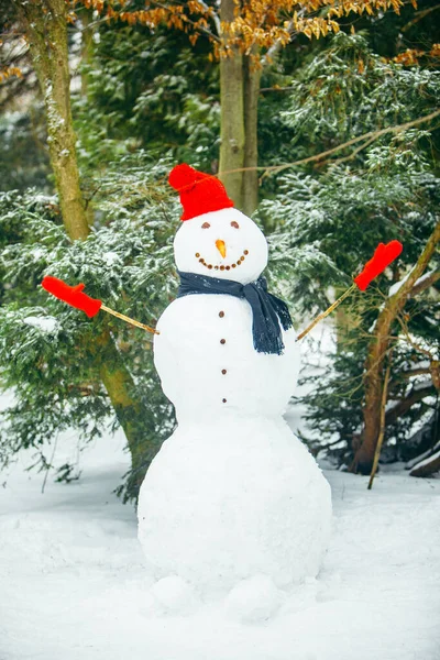 Muñeco de nieve sonriente en sombrero rojo con guantes —  Fotos de Stock