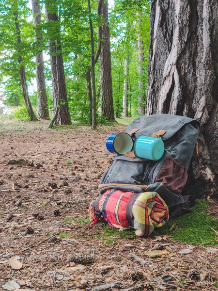 Hiking backpack in forest on the ground — Stock Photo, Image