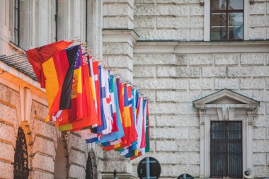 Ülkelerin görüşü ham Avrupa 'ya damgasını vurdu