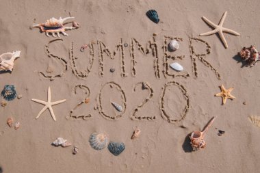 2020 yazında kumsal kabukları ve deniz yıldızları hakkında yazılar.