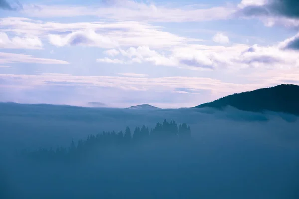 Paisagem da manhã montanhas nascer do sol acima fogy forrest — Fotografia de Stock