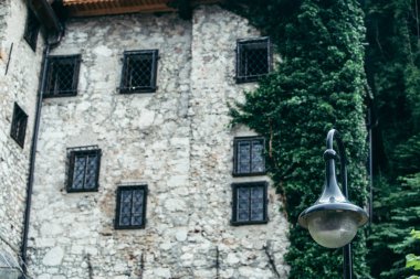 Sarmaşık çalılarıyla kaplı eski taş bina manzarası