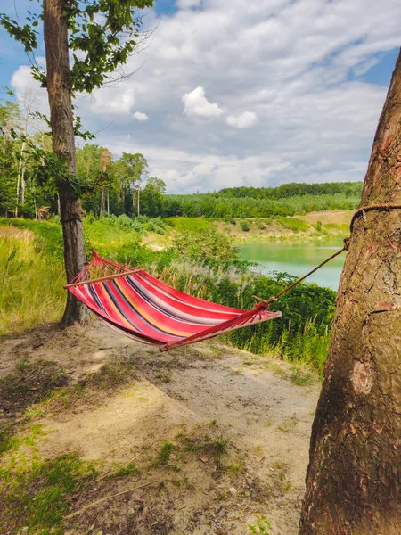Hängmatta mellan träd sjö på bakgrund — Stockfoto