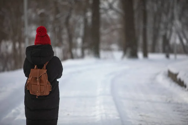 Nő téli ruhában séta havas park út — Stock Fotó