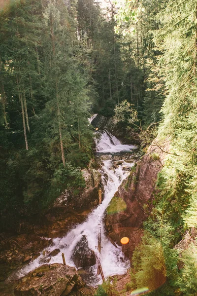 Vista da cachoeira na floresta — Fotografia de Stock