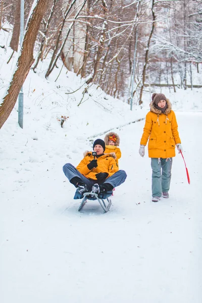 在寒冷的冬日里，年轻的家庭在户外玩耍 — 图库照片