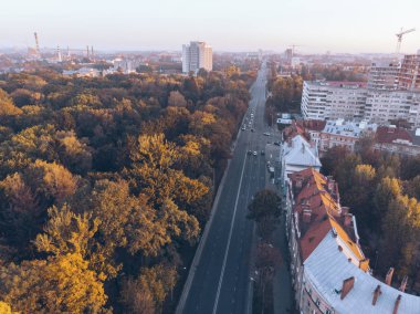 aerial view of autumn city park on sunset