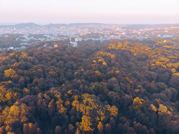 Vista aérea del parque de la ciudad de otoño al atardecer —  Fotos de Stock