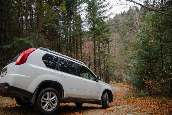 Coche suv blanco en el bosque de otoño barbacoa lugar — Foto de Stock