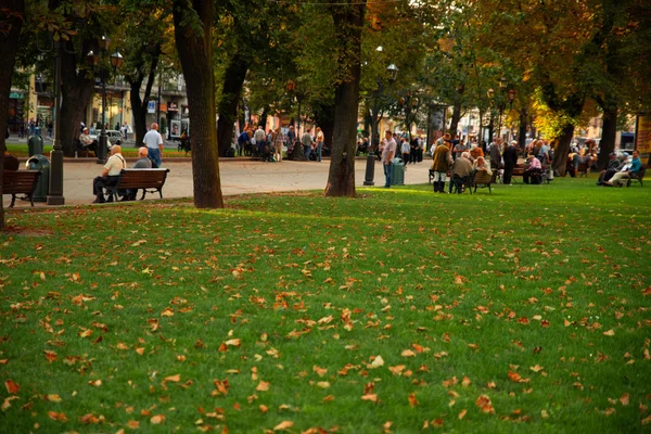 Park miejski z zieloną trawą i żółtymi jesiennymi liśćmi — Zdjęcie stockowe