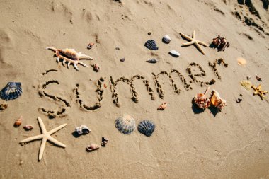 Kumsal kabukları ve deniz yıldızları üzerine yaz metni.