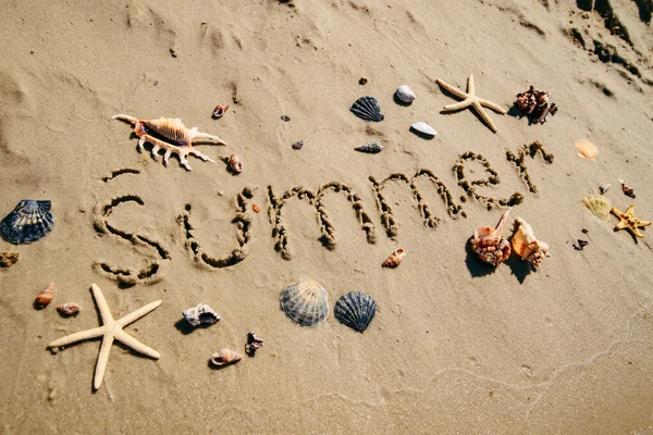 Letni tekst na piaskowej plaży muszle i rozgwiazdy wokół — Zdjęcie stockowe