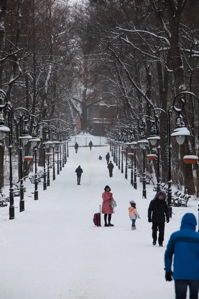 Lviv, Ucrania - 6 de enero de 2019: vista del parque de la ciudad de invierno nevado — Foto de Stock