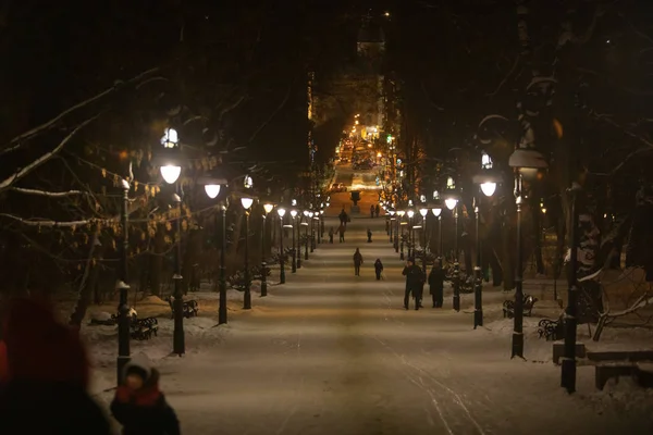 Львов, Украина - 8 января 2019 года: вид снежного зимнего городского парка — стоковое фото