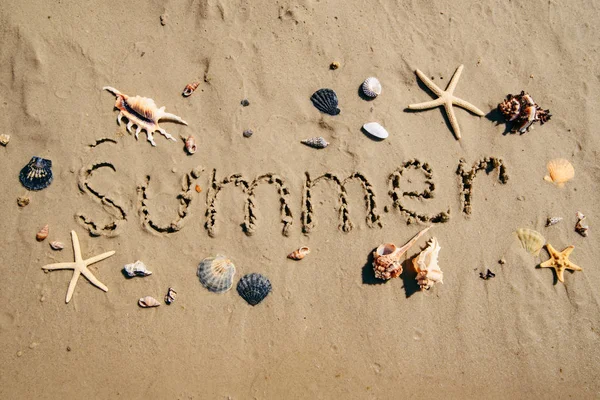 Kumsal kabukları ve deniz yıldızları üzerine yaz metni.