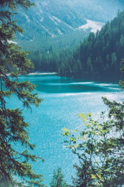 köknar ağaçları ormanlarıyla dağlarda göl manzarası. Arka plan
