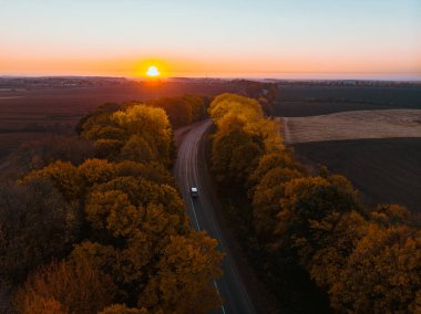 Ormandaki sonbahar otoyolunun havadan görünüşü kopyalama alanı