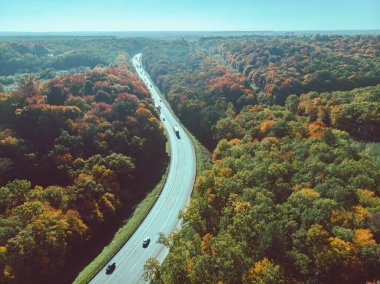 Ormandaki sonbahar otoyolunun havadan görünüşü kopyalama alanı