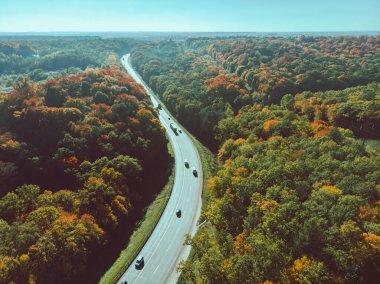 Ormandaki sonbahar otoyolunun havadan görünüşü kopyalama alanı
