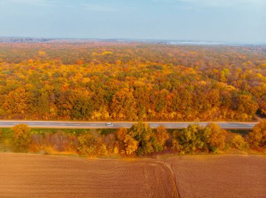 Ormandaki sonbahar otoyolunun havadan görünüşü kopyalama alanı
