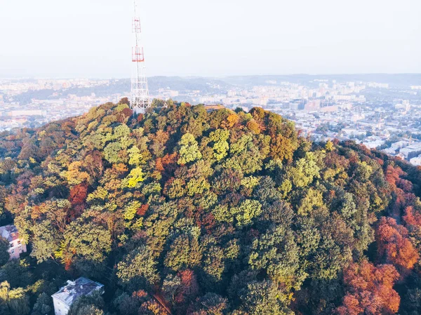 가을의 공원의 — 스톡 사진