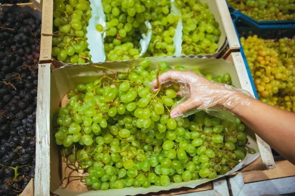 First Person Point View Man Choosing Grapes Grocery Shopping — Stock Photo, Image