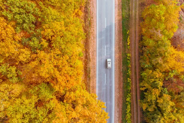 aerial view of autumn highway in forest copy space