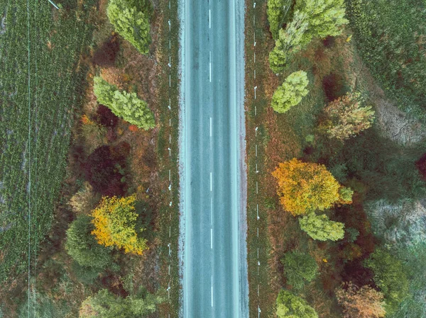 Vista Aerea Dell Autostrada Autunnale Nello Spazio Copia Foresta — Foto Stock